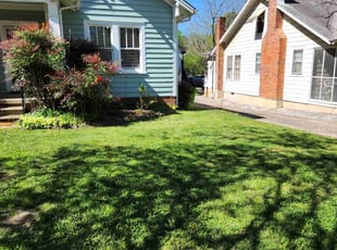 Tom W.'s lawn service service result