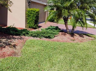 Jason R.'s turf care service result