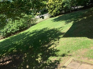 Karen R.'s lawn maintenance service result