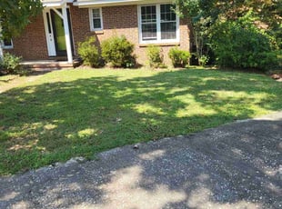 Troy V.'s lawn care service result