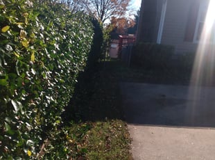 John R.'s Bush Trimming service result