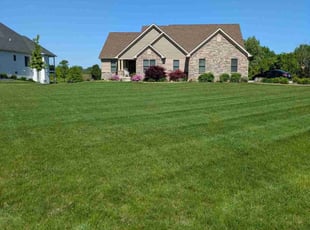 James M.'s lawn care services service result