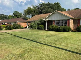 Blythe M.'s turf care service result
