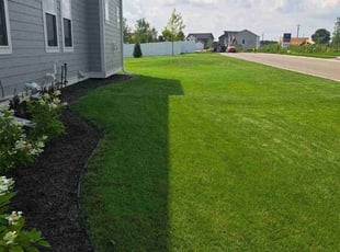 Jennifer C.'s turf maintenance service result