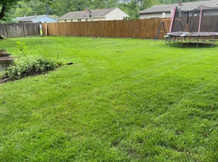 Russell M.'s lawn service service result