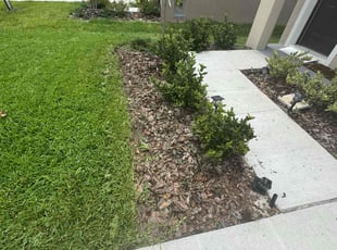Laura N.'s lawn care services service result