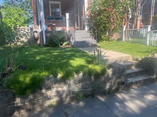 Yves C.'s lawn care services service result