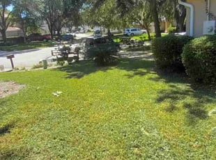 Kitty C.'s turf maintenance service result