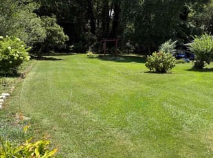 Allan S.'s turf maintenance service result
