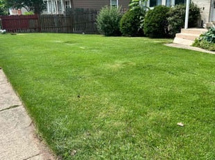 Janet H.'s lawn maintenance service result