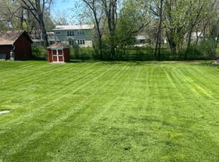 Stefan W.'s lawn care service result