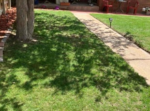 Toddrick S.'s lawn service service result