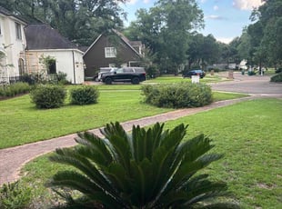 Luz B.'s Bush Trimming service result