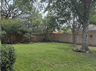 Dominick M.'s turf maintenance service result