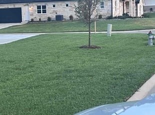 Anne M.'s lawn service service result