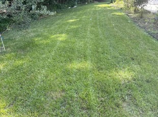 Jennifer C.'s yard maintenance service result