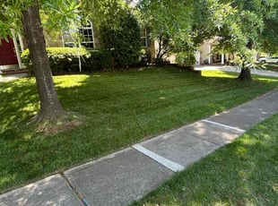 Richard L.'s grass cutting service result