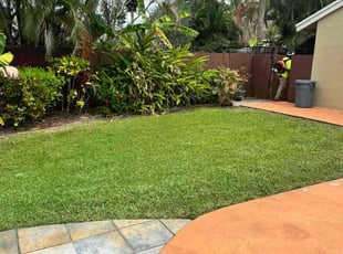 Daryl J.'s lawn care service result