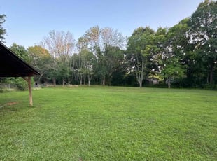 Andretta S.'s turf care service result