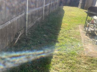 Cassandra C.'s lawn care services service result