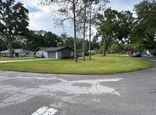 Anton M.'s lawn maintenance service result