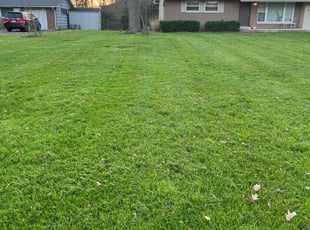 Shawn C.'s turf care service result