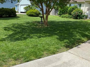 Maurice A.'s Bush Trimming service result