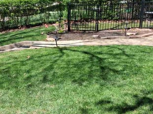 Devin K.'s turf maintenance service result