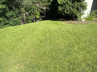 Linda M.'s lawn care service result