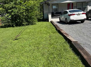 Trina R.'s grass maintenance service result