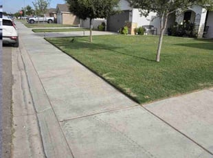 Kevin M.'s lawn maintenance service result