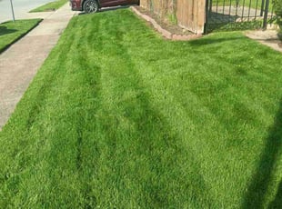 George A.'s turf maintenance service result