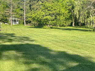 Susan A.'s turf care service result