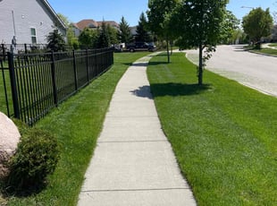 Linda B.'s turf care service result