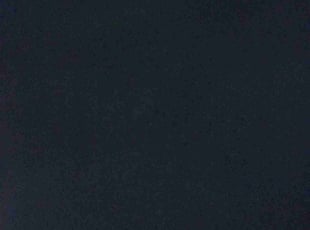 Cathy C.'s lawn care service result