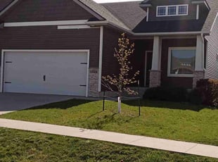 Linda D.'s turf care service result