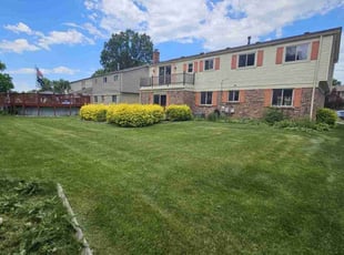 Patti P.'s turf maintenance service result