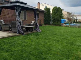 Ray C.'s turf care service result