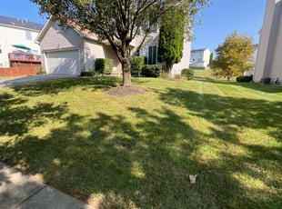Lasonya B.'s lawn care services service result