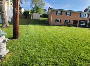 Tina W.'s lawn care services service result