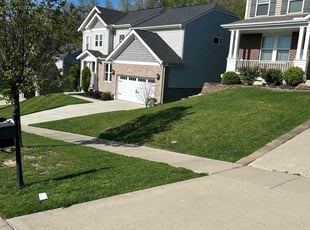 Danilo S.'s lawn care service result