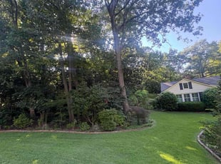 Shawn H.'s grass cutting service result