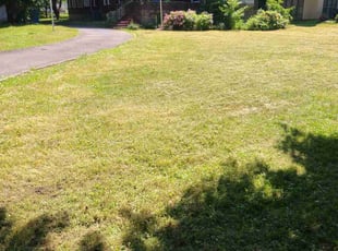 Christian A.'s lawn service service result