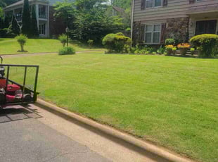 Nancy J.'s turf care service result