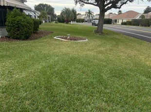 Damita G.'s lawn maintenance service result