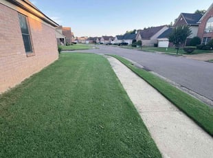 Rich P.'s grass maintenance service result