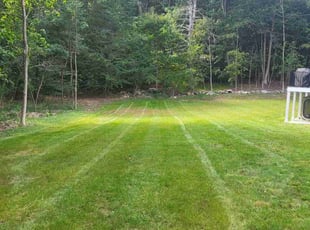 CJ S.'s grass cutting service result
