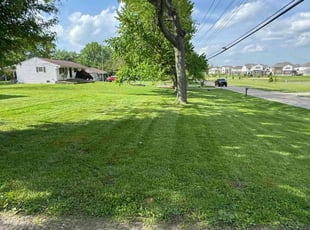 Jack A.'s turf maintenance service result