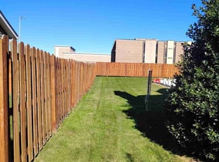 Buddy K.'s turf maintenance service result