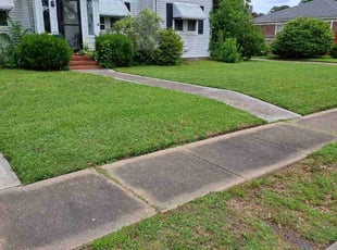 Lori S.'s grass maintenance service result
